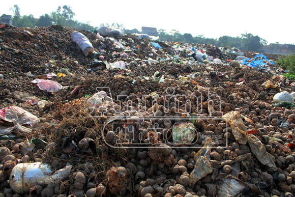 Nguy hại từ việc người dân ăn ốc, chính quyền đổ vỏ ảnh 5 Nguy hại từ việc người dân ăn ốc, chính quyền đổ vỏ ảnh 5