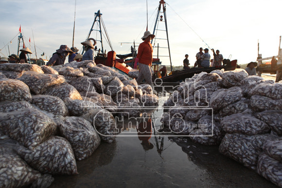 Trở lại nơi siêu bão không đi qua! ảnh 2