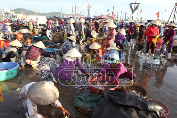 Trở lại nơi siêu bão không đi qua! ảnh 9