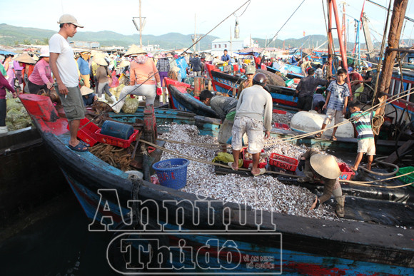 Trở lại nơi siêu bão không đi qua! ảnh 7