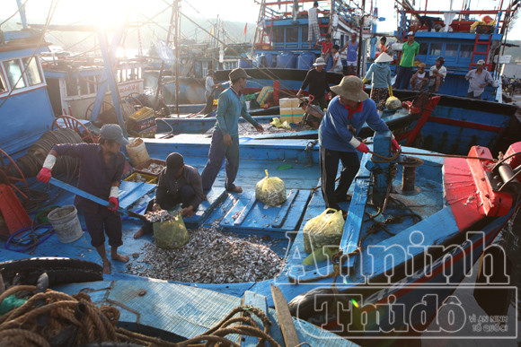 Trở lại nơi siêu bão không đi qua! ảnh 8