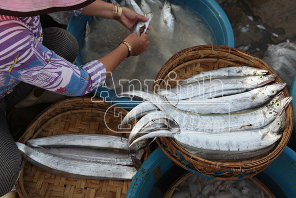 Trở lại nơi siêu bão không đi qua! ảnh 6