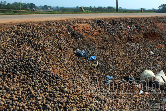 Nguy hại từ việc người dân ăn ốc, chính quyền đổ vỏ ảnh 4 Nguy hại từ việc người dân ăn ốc, chính quyền đổ vỏ ảnh 4