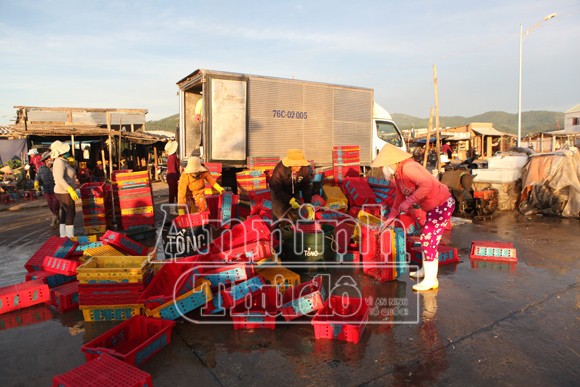 Trở lại nơi siêu bão không đi qua! ảnh 5