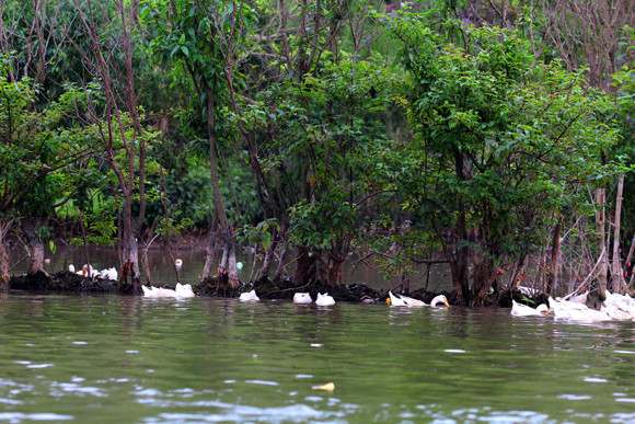 Lễ hội có thắng cảnh hút hồn du khách trong nước và quốc tế ảnh 15