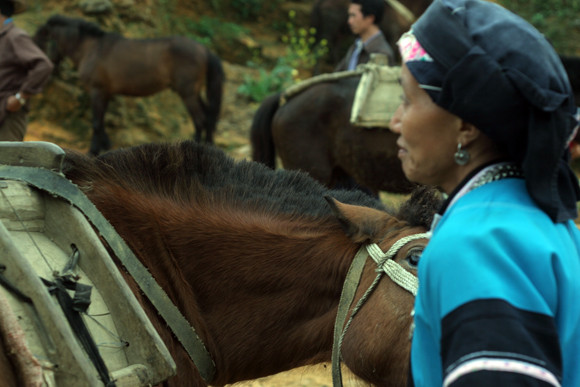 Nơi buôn bán “chiến mã” rầm rộ nhất ảnh 6