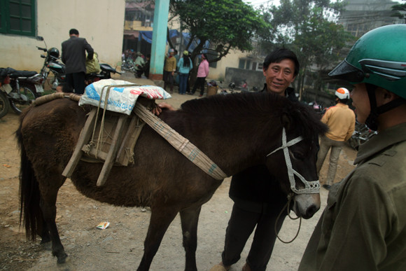 Nơi buôn bán “chiến mã” rầm rộ nhất ảnh 14
