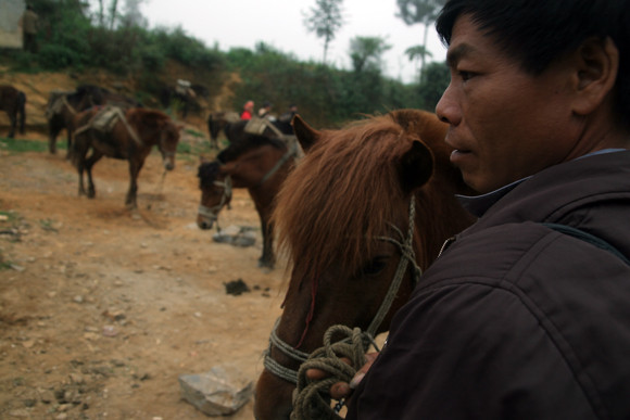 Nơi buôn bán “chiến mã” rầm rộ nhất ảnh 1