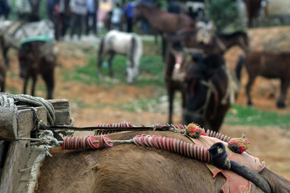 Nơi buôn bán “chiến mã” rầm rộ nhất ảnh 5