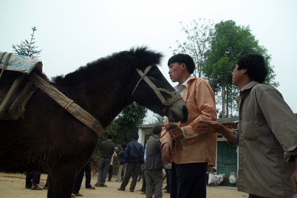 Nơi buôn bán “chiến mã” rầm rộ nhất ảnh 4