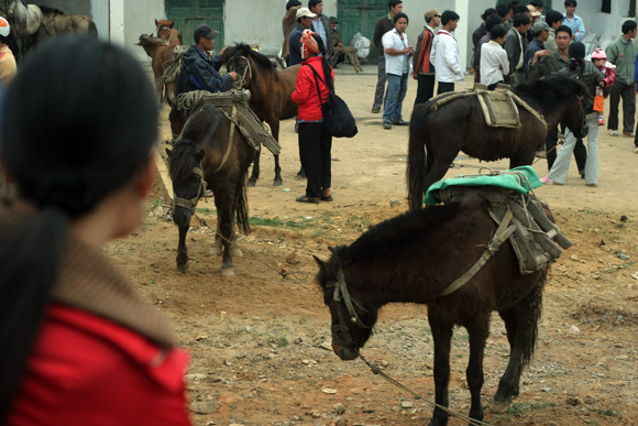 Nơi buôn bán “chiến mã” rầm rộ nhất ảnh 11