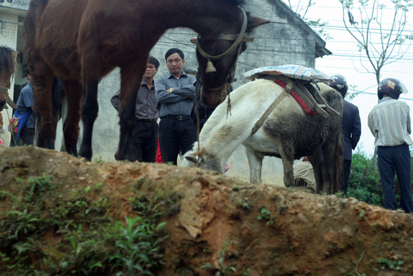 Nơi buôn bán “chiến mã” rầm rộ nhất ảnh 8