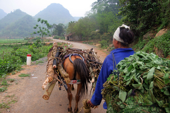 Nơi buôn bán “chiến mã” rầm rộ nhất ảnh 7