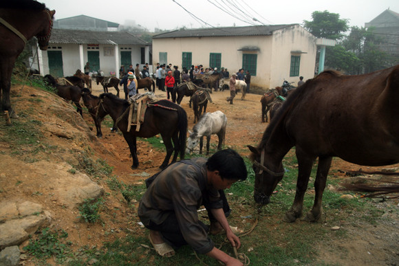 Nơi buôn bán “chiến mã” rầm rộ nhất ảnh 13