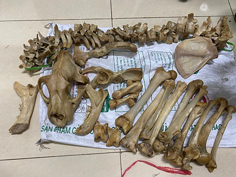 Tang vật nghi xương hổ, cơ quan Công an thu giữ