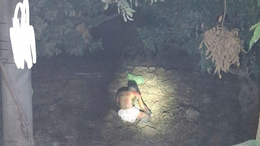 Hiện trường sự việc