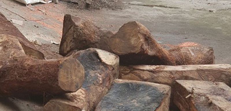 Số tang vật cơ quan chức năng thu giữ Số tang vật cơ quan chức năng thu giữ