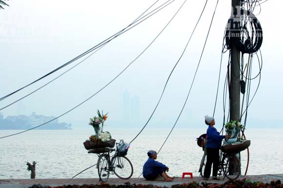 "Tôi được tặng cả cánh đồng hoa bao la" ảnh 1