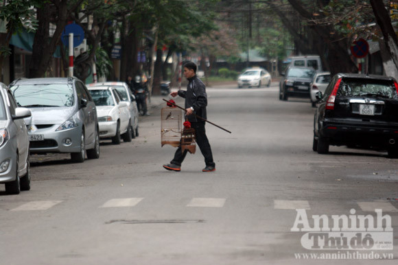 Lắng đọng Hà Nội trong sớm mồng 1 Tết ảnh 6 Lắng đọng Hà Nội trong sớm mồng 1 Tết ảnh 6