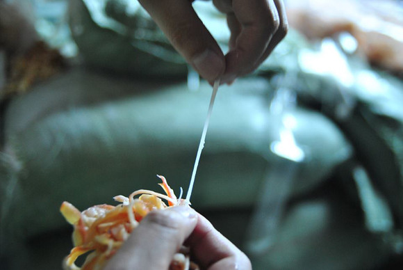 Choáng với mực xé nhỏ: đốt khét lẹt, kéo co giãn như cao su ảnh 5