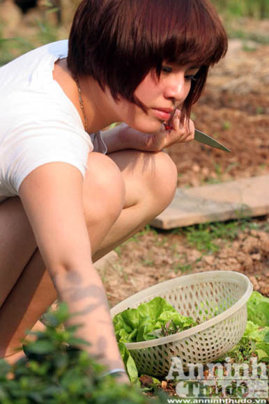 Những vuông rau xanh của ngõ nhỏ, phố nhỏ Hà Nội ảnh 4