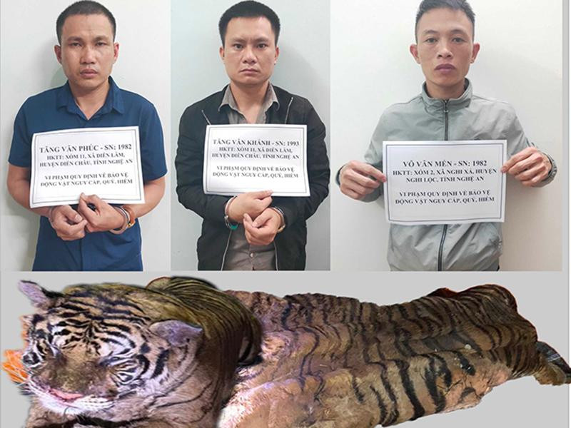 3 đối tượng và tang vật 3 đối tượng và tang vật