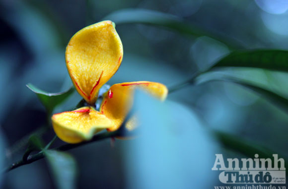 Mắt thần của núi ảnh 3 Mắt thần của núi ảnh 3