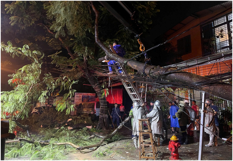 Đội Chữa cháy và cứu nạn, cứu hộ khu vực số 20 phối hợp cứu hộ cây đổ đè vào đường dây điện Đội Chữa cháy và cứu nạn, cứu hộ khu vực số 20 phối hợp cứu hộ cây đổ đè vào đường dây điện