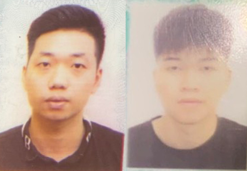 Hai đối tượng Dương, Đức Hai đối tượng Dương, Đức