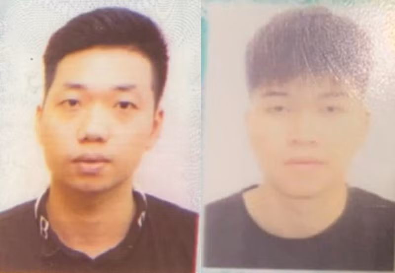 Hai đối tượng Dương, Đức Hai đối tượng Dương, Đức