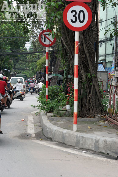 Sức mạnh của vị “thần” cây xanh ảnh 2