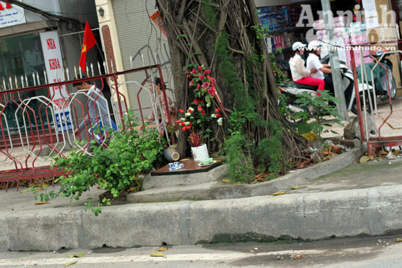 Sức mạnh của vị “thần” cây xanh ảnh 3 Sức mạnh của vị “thần” cây xanh ảnh 3