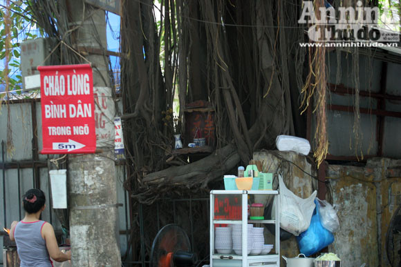 Sức mạnh của vị “thần” cây xanh ảnh 6 Sức mạnh của vị “thần” cây xanh ảnh 6