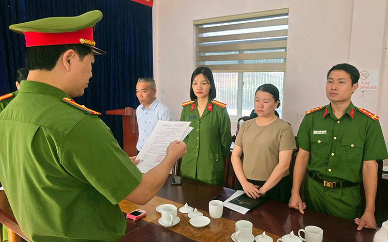 Cơ quan công an thực hiện lệnh bắt bị can để tạm giam đối với Đinh Thị Diệu Hoa