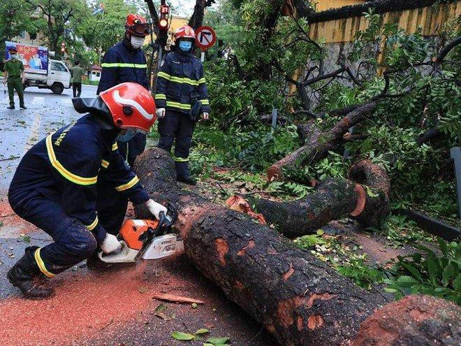 Lực lượng Cảnh sát PCCC và CNCH - CATP Hà Nội khắc phục hậu quả do mưa bão, làm đổ nhiều cây cổ thụ trên đường phố cản trở giao thông Lực lượng Cảnh sát PCCC và CNCH - CATP Hà Nội khắc phục hậu quả do mưa bão, làm đổ nhiều cây cổ thụ trên đường phố cản trở giao thông