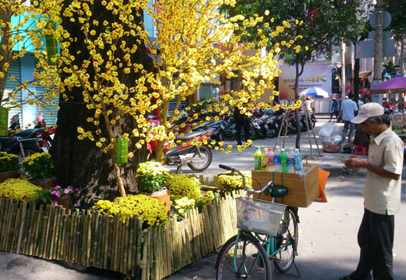 Xuân về, ông đồ xuống phố ảnh 16 Xuân về, ông đồ xuống phố ảnh 16