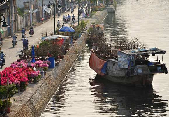 Mùa thuyền hoa về phố ảnh 11