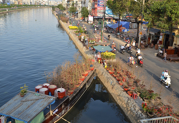 Mùa thuyền hoa về phố ảnh 9
