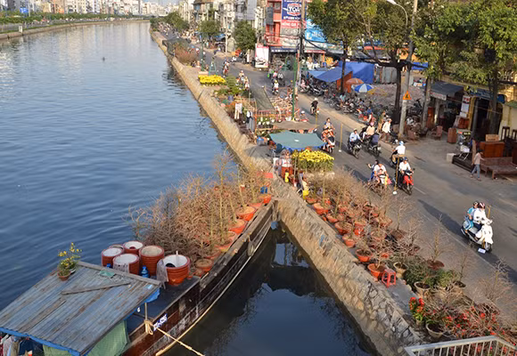 Mùa thuyền hoa về phố ảnh 9