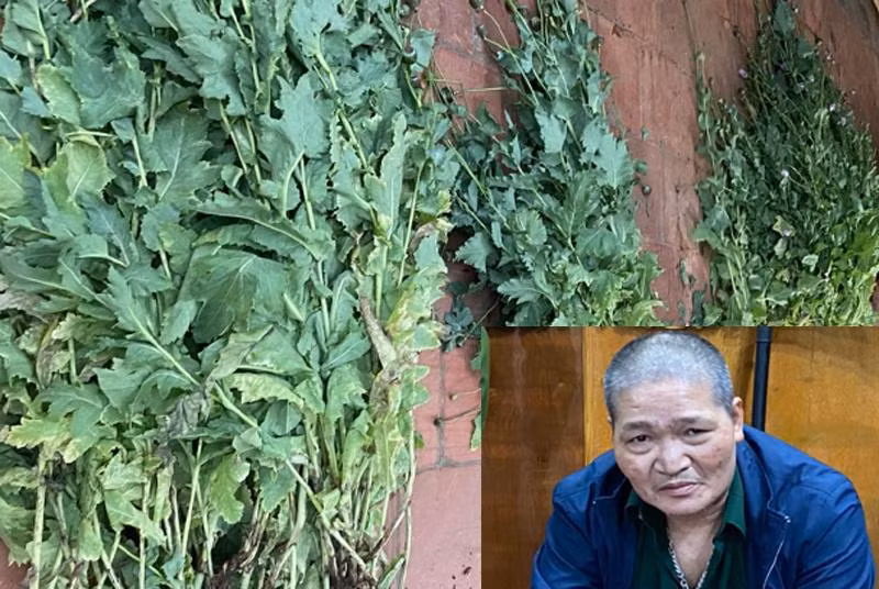 Đối tượng Út và tang vật
