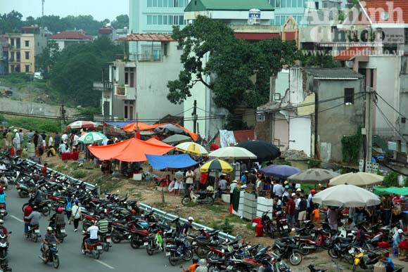 “Chợ chim 373 tỷ đồng" trên những căn nhà bỏ trống ảnh 10