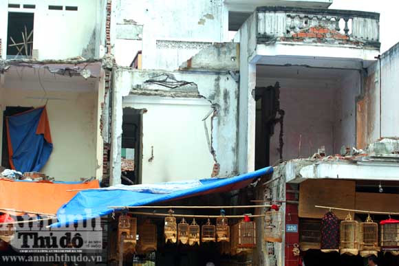 “Chợ chim 373 tỷ đồng" trên những căn nhà bỏ trống ảnh 8