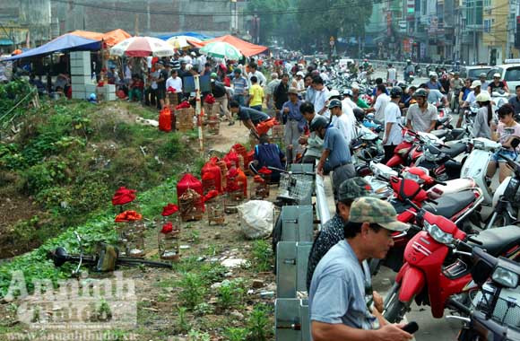 “Chợ chim 373 tỷ đồng" trên những căn nhà bỏ trống ảnh 1