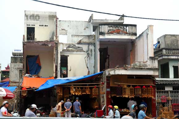 “Chợ chim 373 tỷ đồng" trên những căn nhà bỏ trống ảnh 9