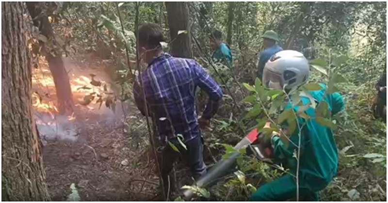Các lực lượng chức năng được huy động dập tắt đám cháy rừng tại xã Minh Phú, huyện Sóc Sơn, Hà Nội