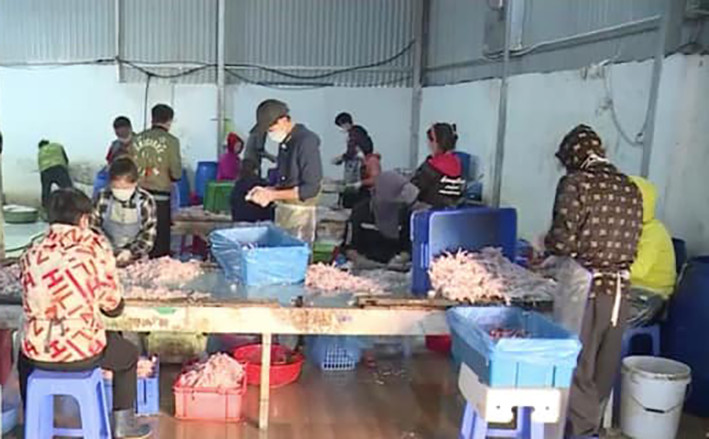 Cơ sở chế biến chân gà vi phạm quy định an toàn thực phẩm