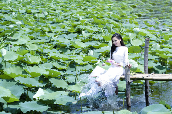 Hoa hậu Diễm Hương "tung" ảnh chụp giữa đầm sen Tây Hồ ảnh 7