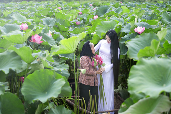 Hoa hậu Ngọc Anh tôn vinh Quốc hoa cùng cụ bà ảnh 3