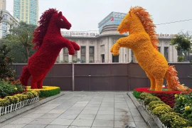 Hà Nội: Không gian hoa xuân lớn nhất từ trước đến nay sẽ mở đón khách từ 13/2 tại vườn hoa Lý Thái Tổ