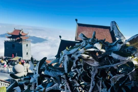 Sáng nay, đỉnh Fansipan băng giá phủ trắng xoá